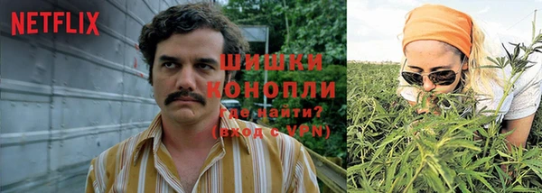 дживик Киреевск